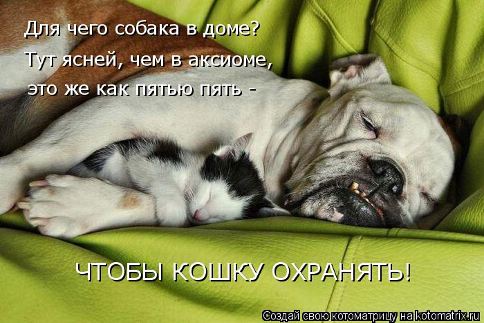 kotomatritsa_P (700x467, 68Kb)