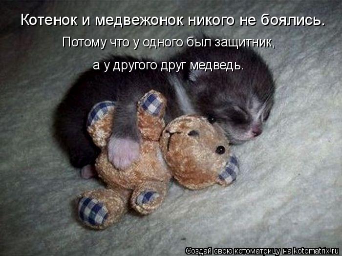 kotomatritsa_RU (700x524, 62Kb)