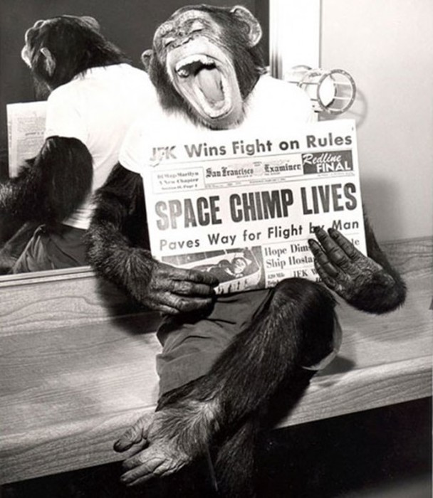 Почему США первой в космос запустили обезьяну