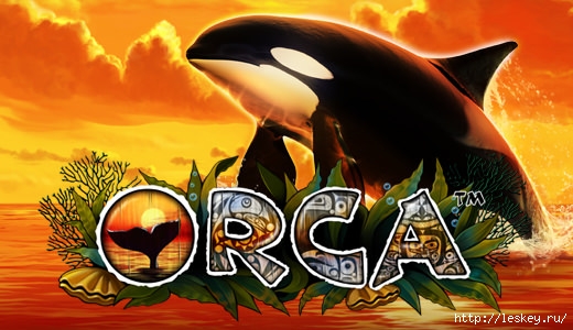 --Orca (520x300, 132Kb)