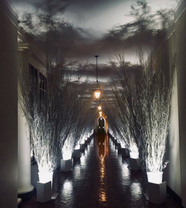 В сети появились стремные мемы на тему украшений Белого дома от Мелании Трамп