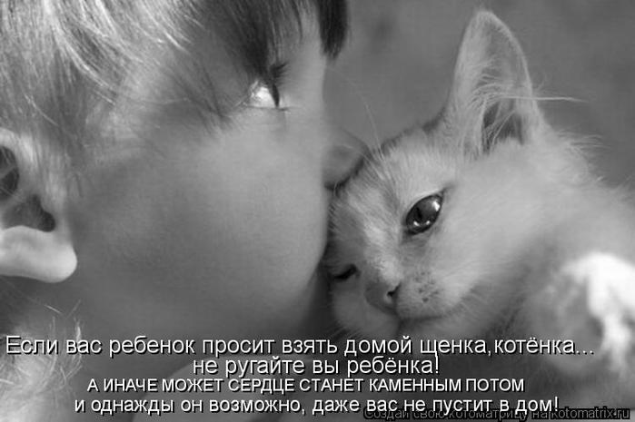 kotomatritsa_Qk (700x465, 41Kb)