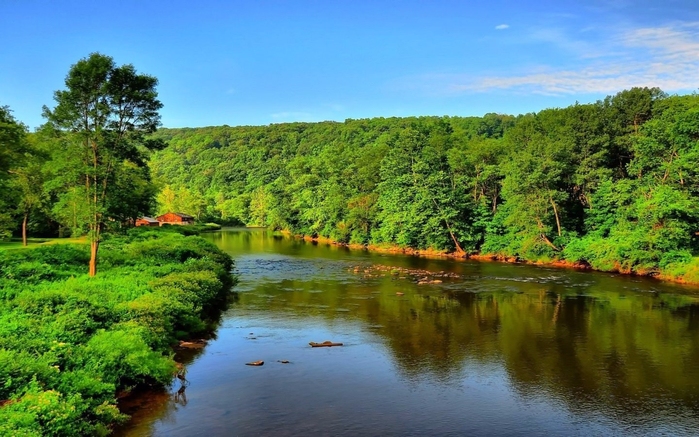 River-leak-of-water-dense-forest-from-green-trees-nature-blue-sky-summer-landscape-for-Desktop-Hd-Wallpaper-1920x1080-1440x900 (700x437, 403Kb)