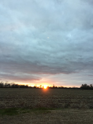s15167655 (300x400, 24Kb)