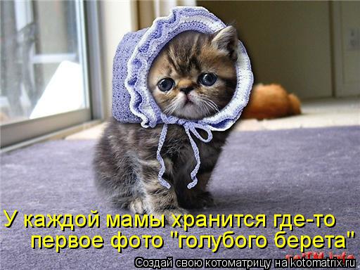 kotomatritsa_pN (512x384, 46Kb)