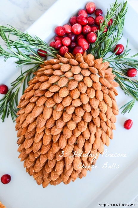 1-HOLIDAY-PINECONE-CHEESE-BALL-TITLE-PAGE (463x700, 296Kb)