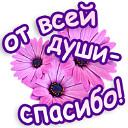 image (8) (128x128, 12Kb)
