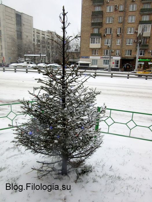 Уличная елочка в снегу