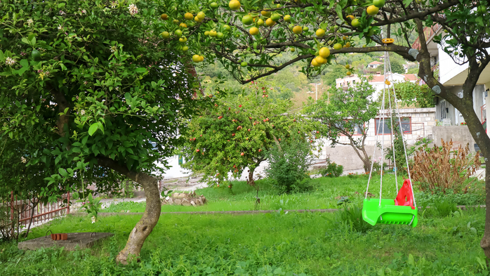 IMG_7479 (700x393, 500Kb)