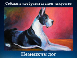 5107871_Nemeckii_dog (250x188, 50Kb)