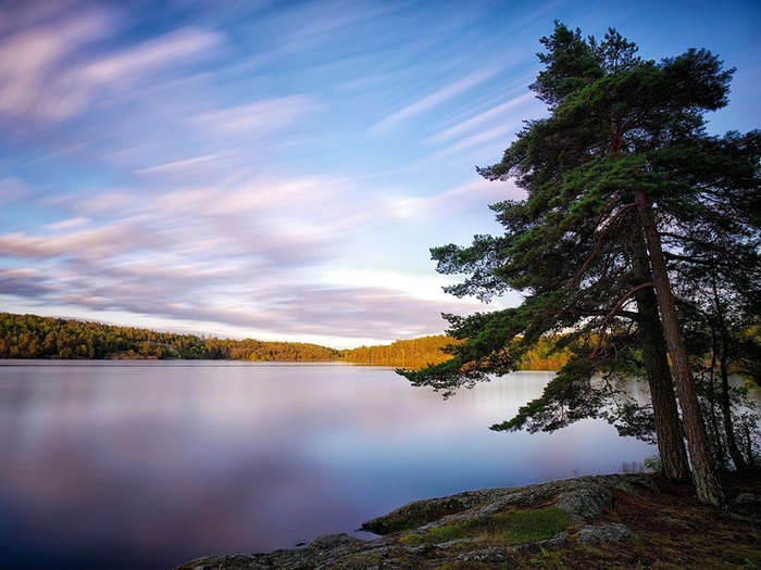 Sweden_Lake_Trees_448634_2048x1536 (700x525, 136Kb)