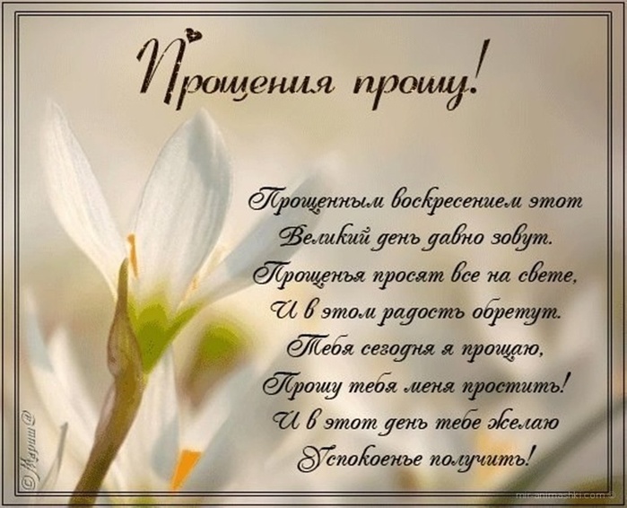 09039389 (700x566, 121Kb)