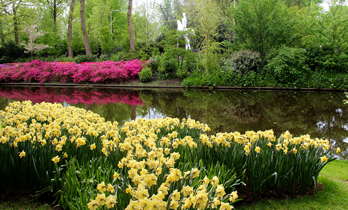 Netherlands_Parks_Spring_Daffodils_Pond_Keukenhof_523513_1280x773 (700x422, 592Kb)