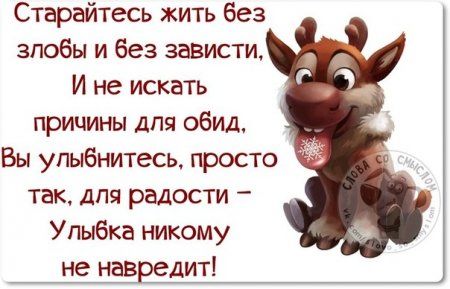 8062d90a2b6d1f96624340bd67dd9dec (450x289, 28Kb)