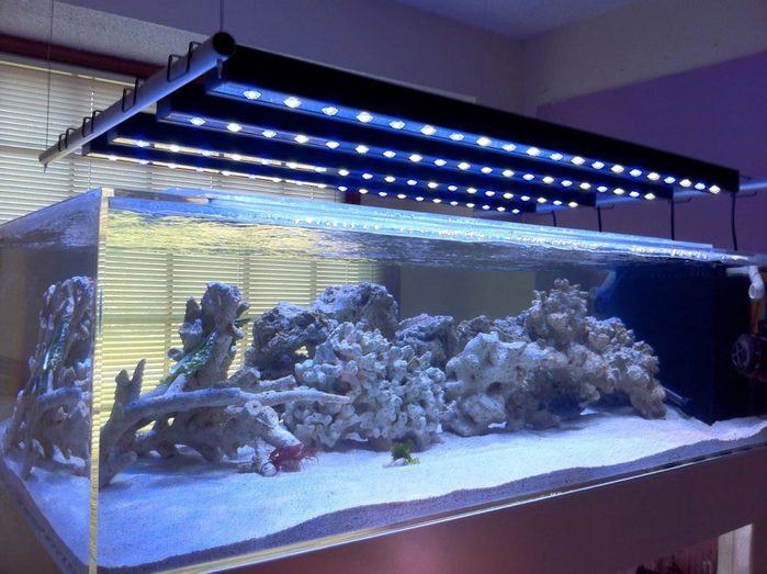 LED светильник для аквариума/4403711_ledaquariumlighting (700x523, 71Kb)