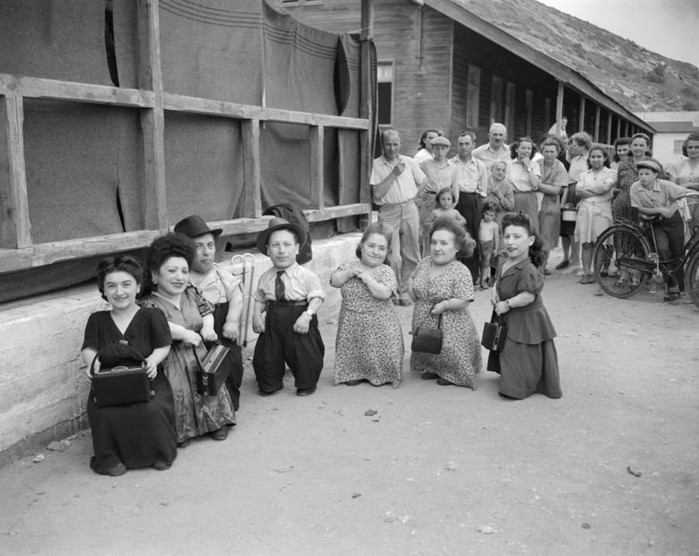 «Семь гномов» Освенцима: трагическая история евреев-карликов Овиц, переживших эксперименты нацистов 