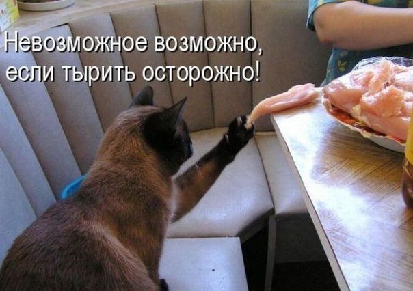 836854175664484480 (604x426, 57Kb)