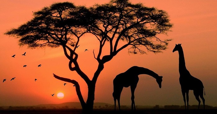 Достопримечательности Африки, без которых никогда не понять всю красоту Черного континента!