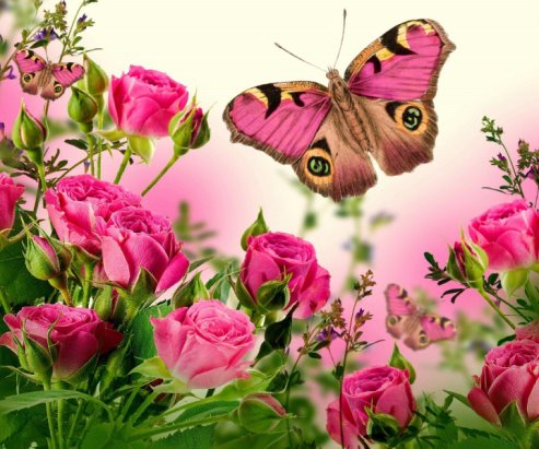 рози и пеперуда (493x411, 57Kb)