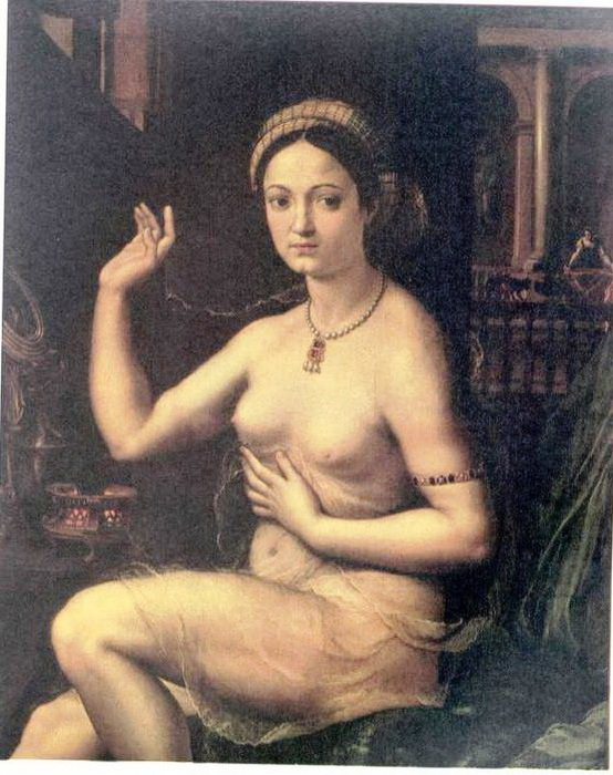 Raffaello-4 (554x700, 297Kb)