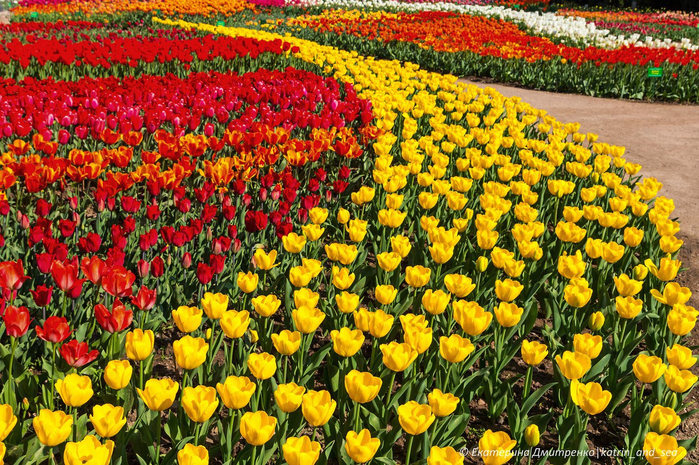 3 (700x465, 652Kb)