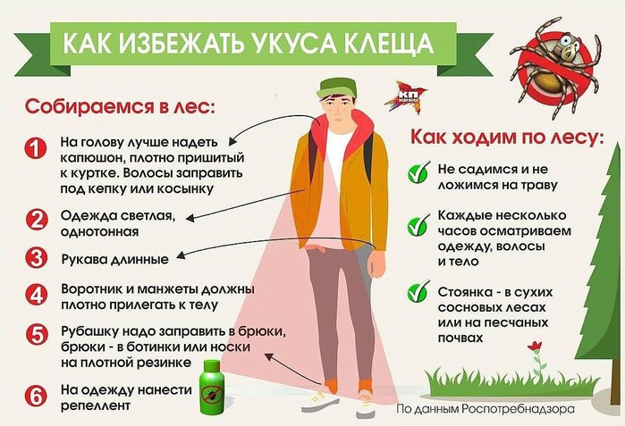 4208855_lSKe4LuZbR4 (700x477, 90Kb)