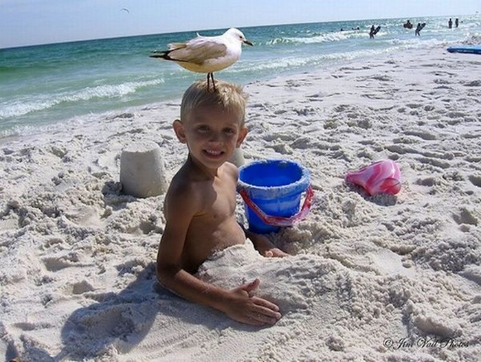 Веселый пляжный отдых: приколы на пляже (смешные фото)