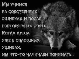 4646985_images_1 (260x194, 11Kb)