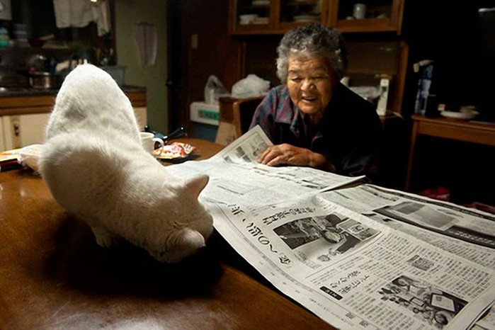 Неразлучные друзья: бабушка Миса и кошка Фукумару