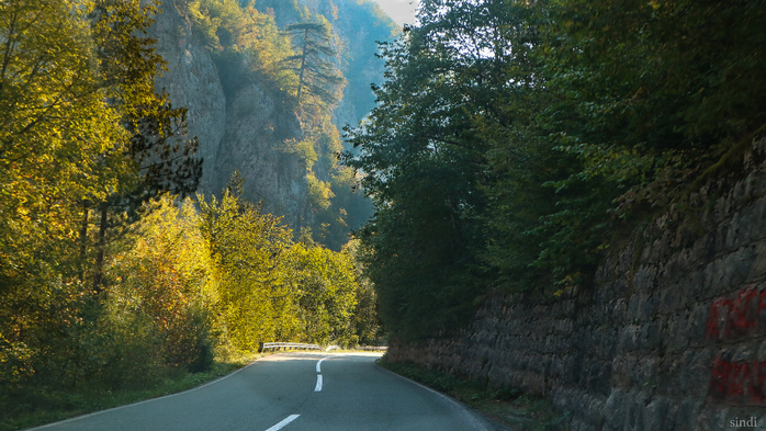 IMG_7968 (700x393, 429Kb)