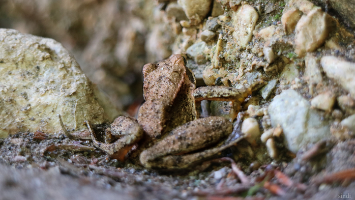 IMG_8025 (700x393, 353Kb)