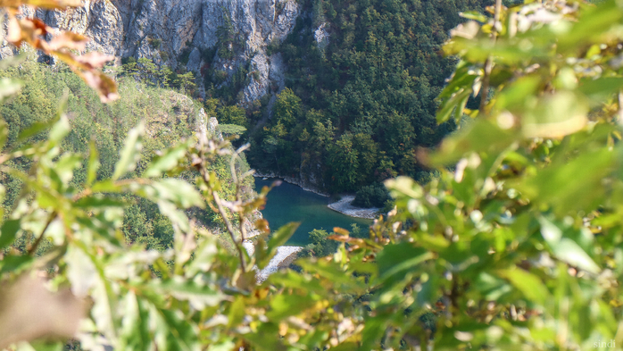 IMG_8032 (700x393, 409Kb)