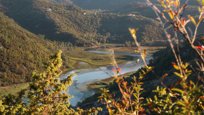 IMG_8109 (700x393, 432Kb)