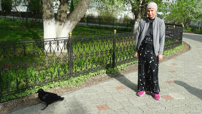 DSC06237 (700x394, 405Kb)