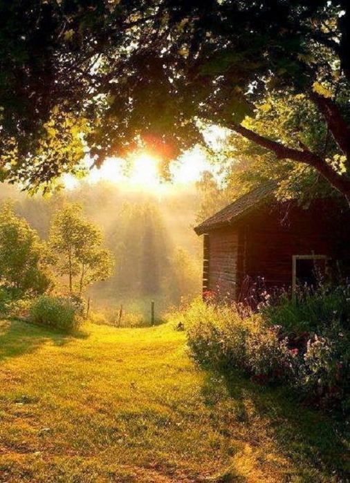image (8) (506x700, 439Kb)