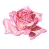 e4cff15a (100x100, 10Kb)