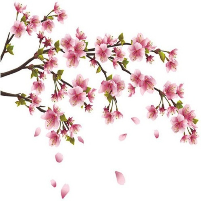 cherry-blossom-sakura-flowers-in-shades-of-pink-large-70-original-imaeqj82fmcdprzk (700x700, 70Kb)