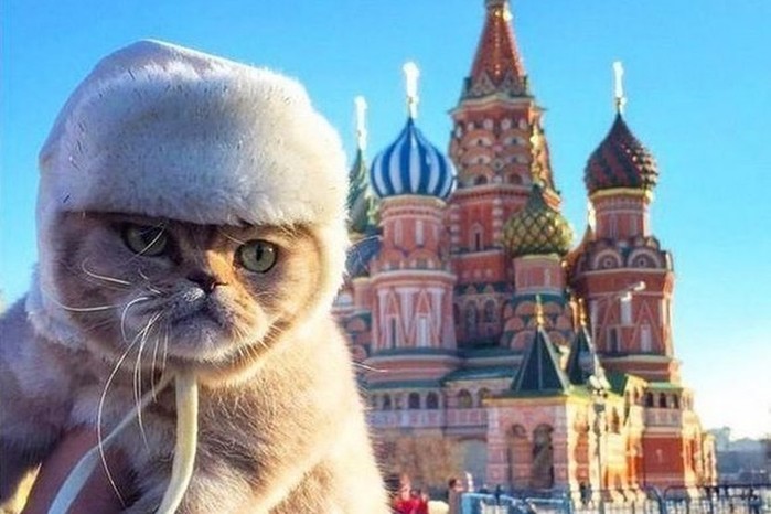 Британец прославился переводами русских мемов в твиттере