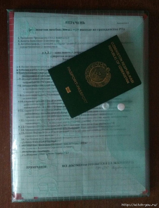 Отказ от гражданства Узбекистана/2493280_poehali (535x700, 266Kb)