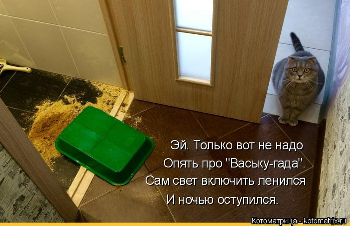 kotomatritsa_X (700x451, 303Kb)