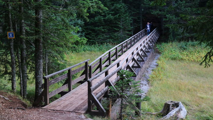 IMG_7812 (700x393, 429Kb)