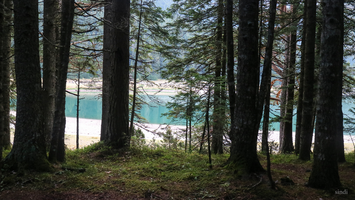 IMG_7828 (700x393, 388Kb)