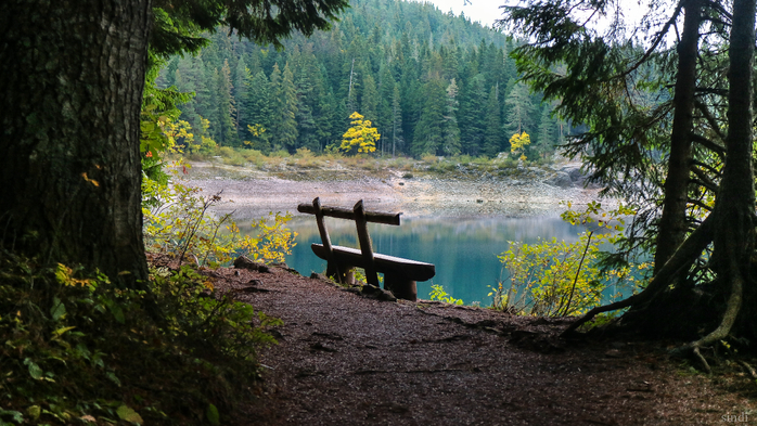 IMG_7877 (700x393, 428Kb)