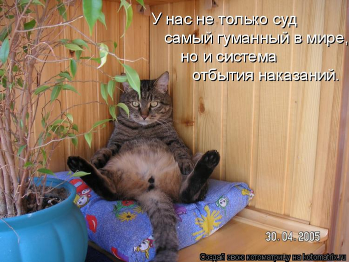 kotomatritsa_k (2) (700x524, 403Kb)