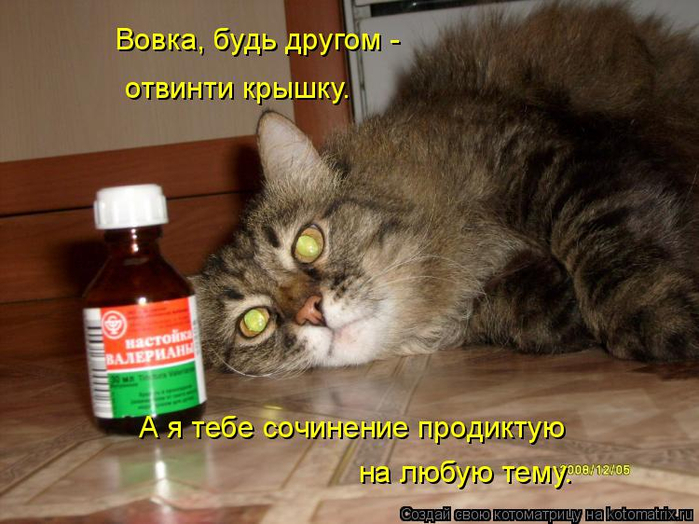 kotomatritsa_p (2) (700x524, 359Kb)