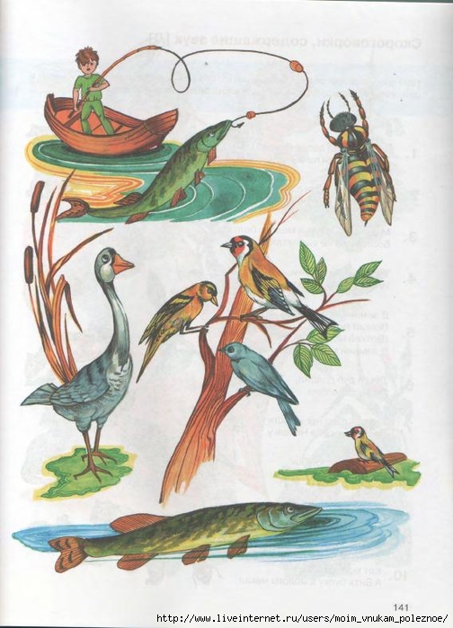 kosinova_e_m_bolshoy_logopedicheskiy_uchebnik_s_137 (504x700, 247Kb)