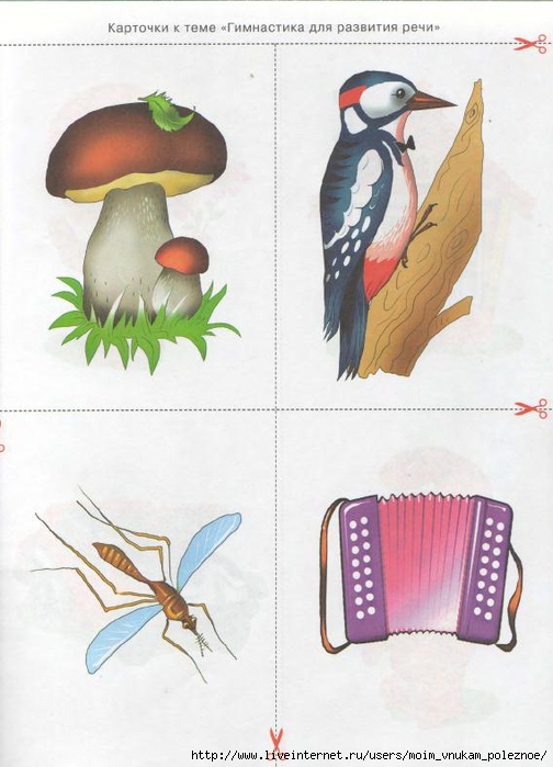kosinova_e_m_bolshoy_logopedicheskiy_uchebnik_s_180 (504x700, 214Kb)
