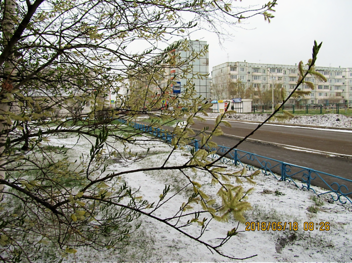3924376_sneg_v_sharypovo_18_may_2018 (700x524, 915Kb)
