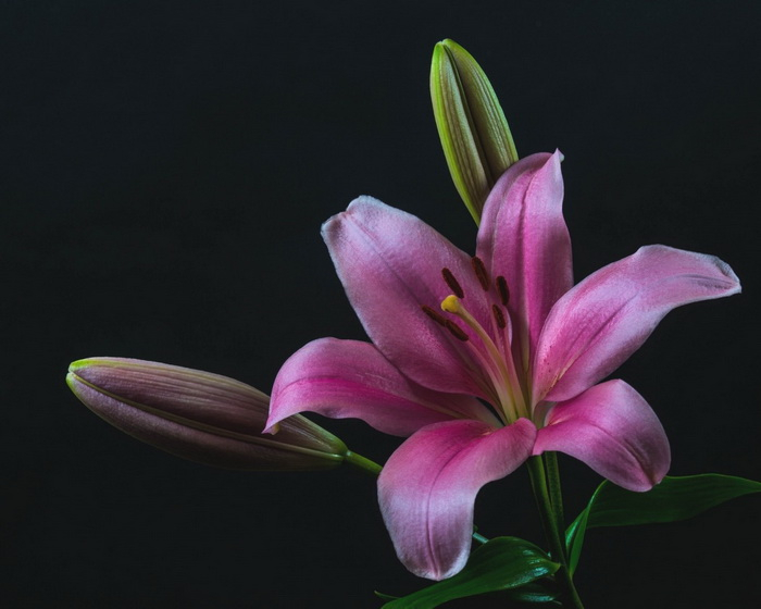 2 (700x560, 172Kb)