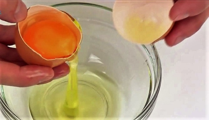 торт бабочка 2 (669x386, 173Kb)